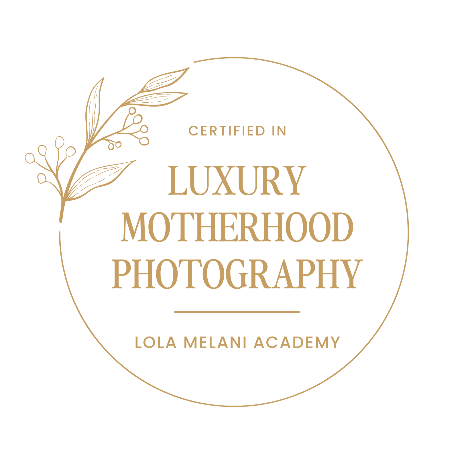 Certified in Luxury Motherhood Photography, Lola Melani Academy