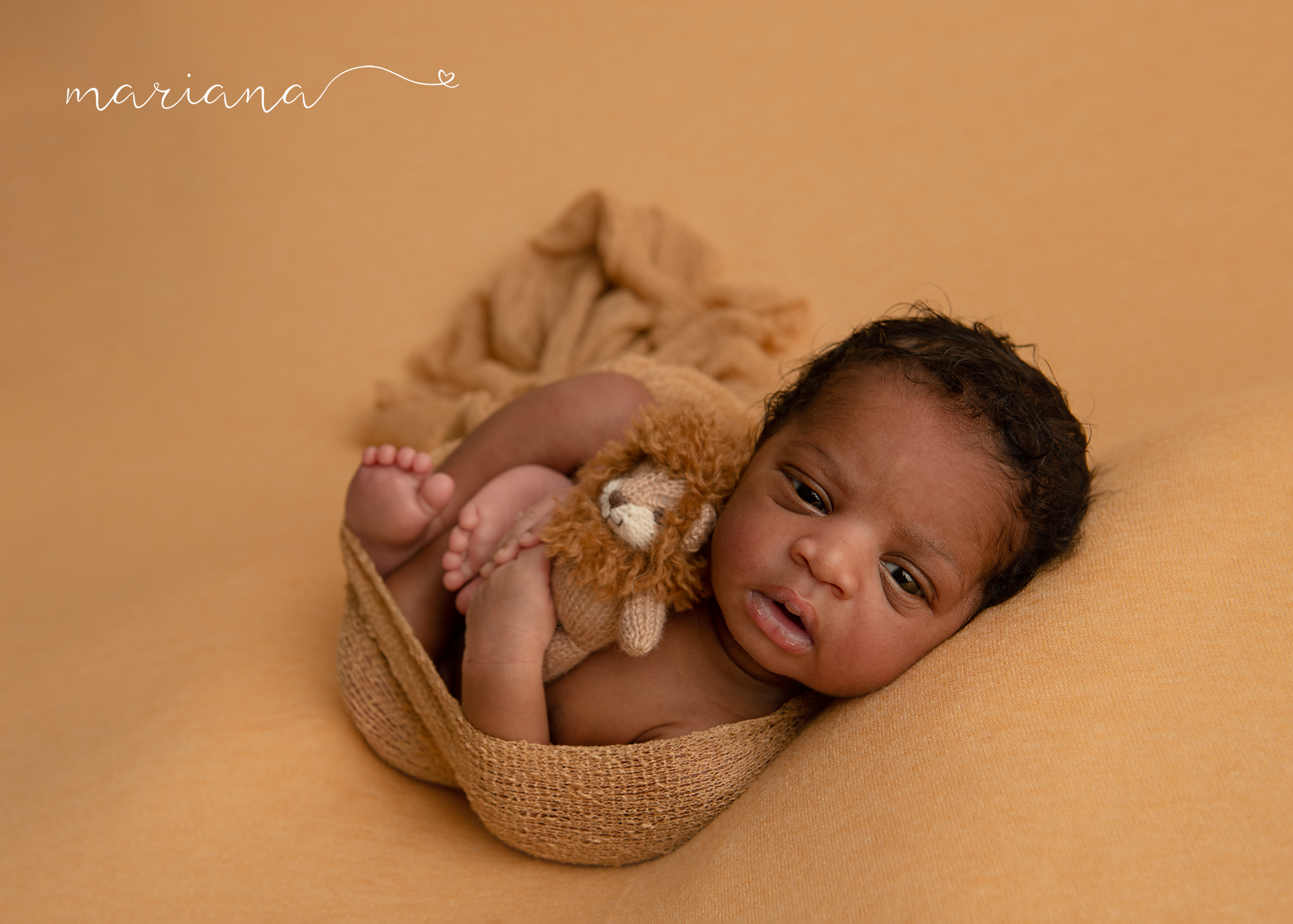 Newborn resting in a basket on a warm tan background